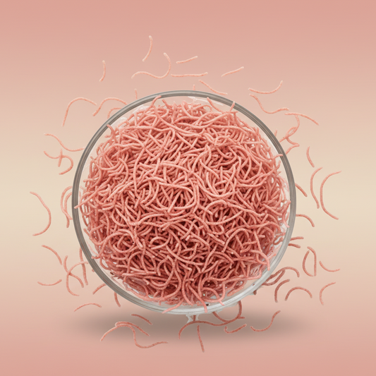 Strawberry Tukda Shevai - Flavored Fruit Vermicelli